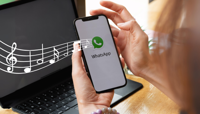 Como colocar Fotos com Música no WhatsApp